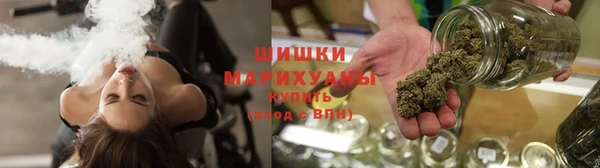 индика Каменск-Шахтинский