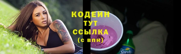 индика Каменск-Шахтинский
