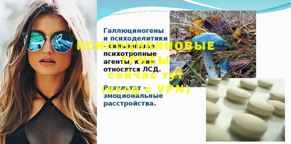 индика Каменск-Шахтинский