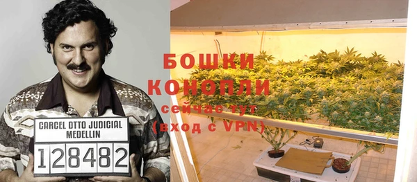 дмт Каменногорск