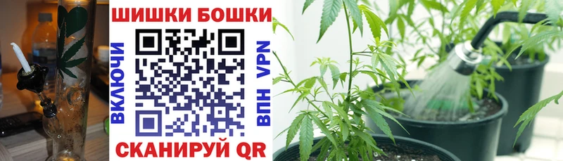 Бошки Шишки THC 21%  сколько стоит  блэк спрут рабочий сайт  Меленки 